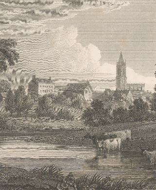 Country Lives (2)-114354.jpg