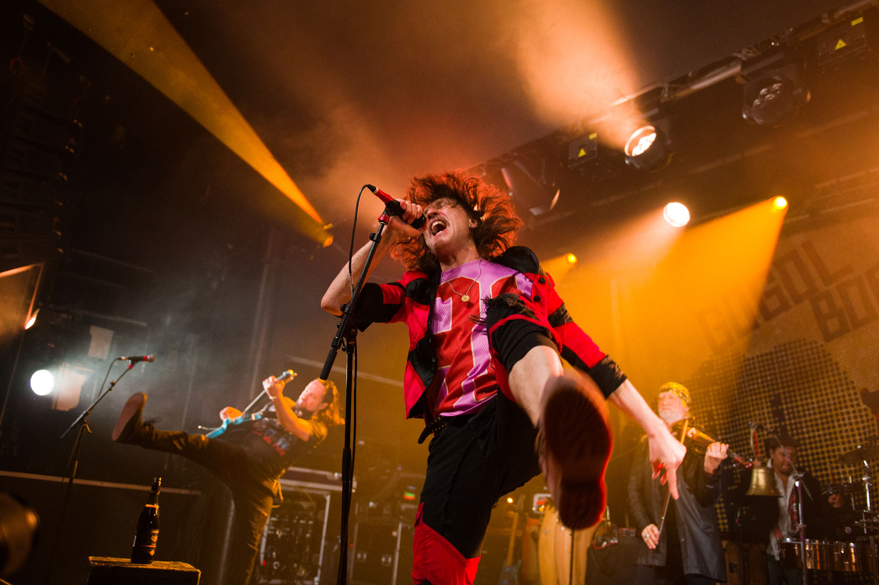 Gogol Bordello (3)