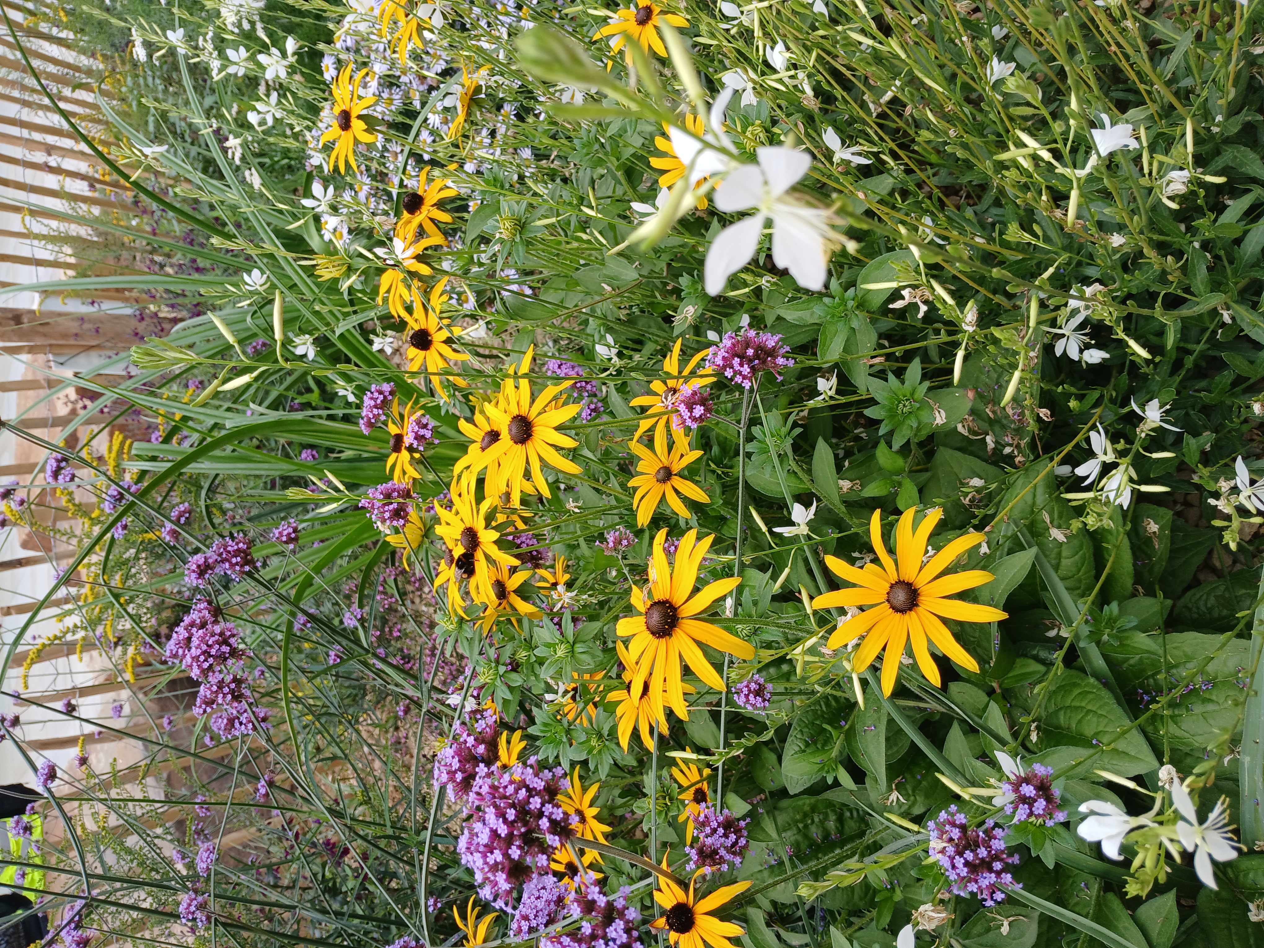 Planting For Pollinators At The Green Heart Cpt Erin Mcdaid