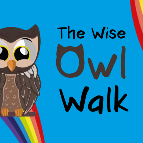 Wise Owls Take Up Residence in the City Centre - Nottingham Culture