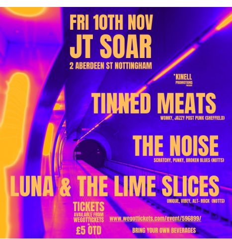 Instagram JT Soar Gig-128224.jpg