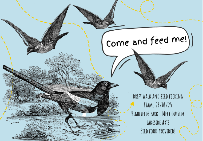 bird walk-114295.png