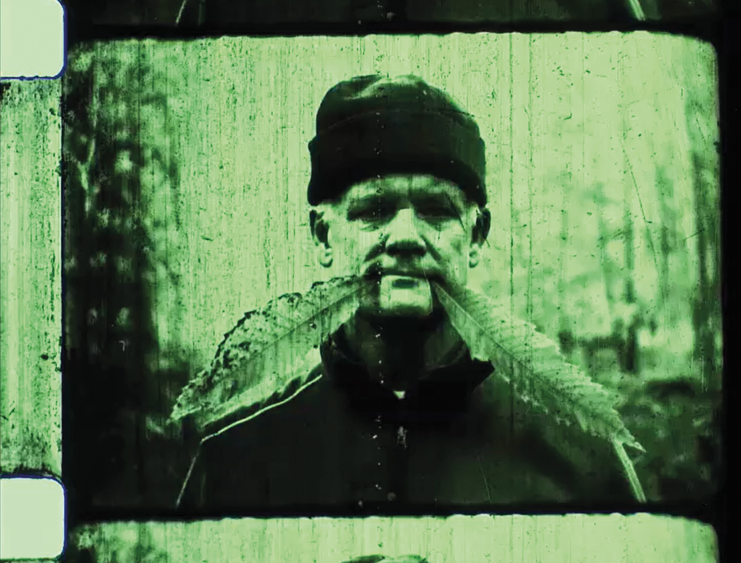 Hart Of The Wood 6