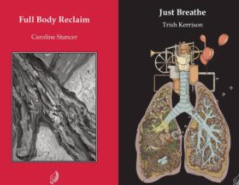 book-covers-300x230-114302.jpg