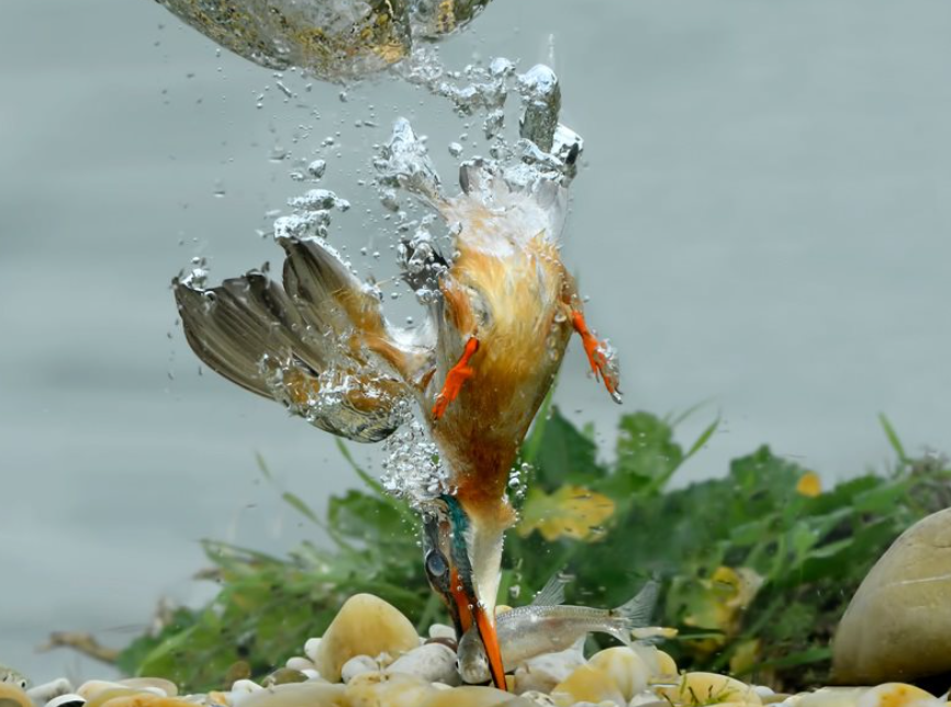 water-114354.jpg