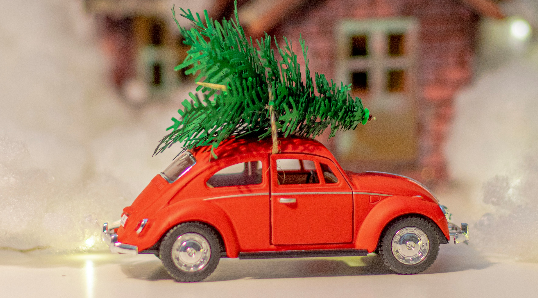 red-car-with-green-pine-tree-on-top-O6A0hkL4NHE-164290.jpg (3)