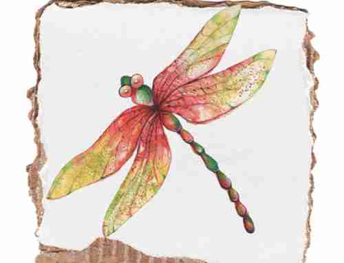 Dragonfly-114354.jpg