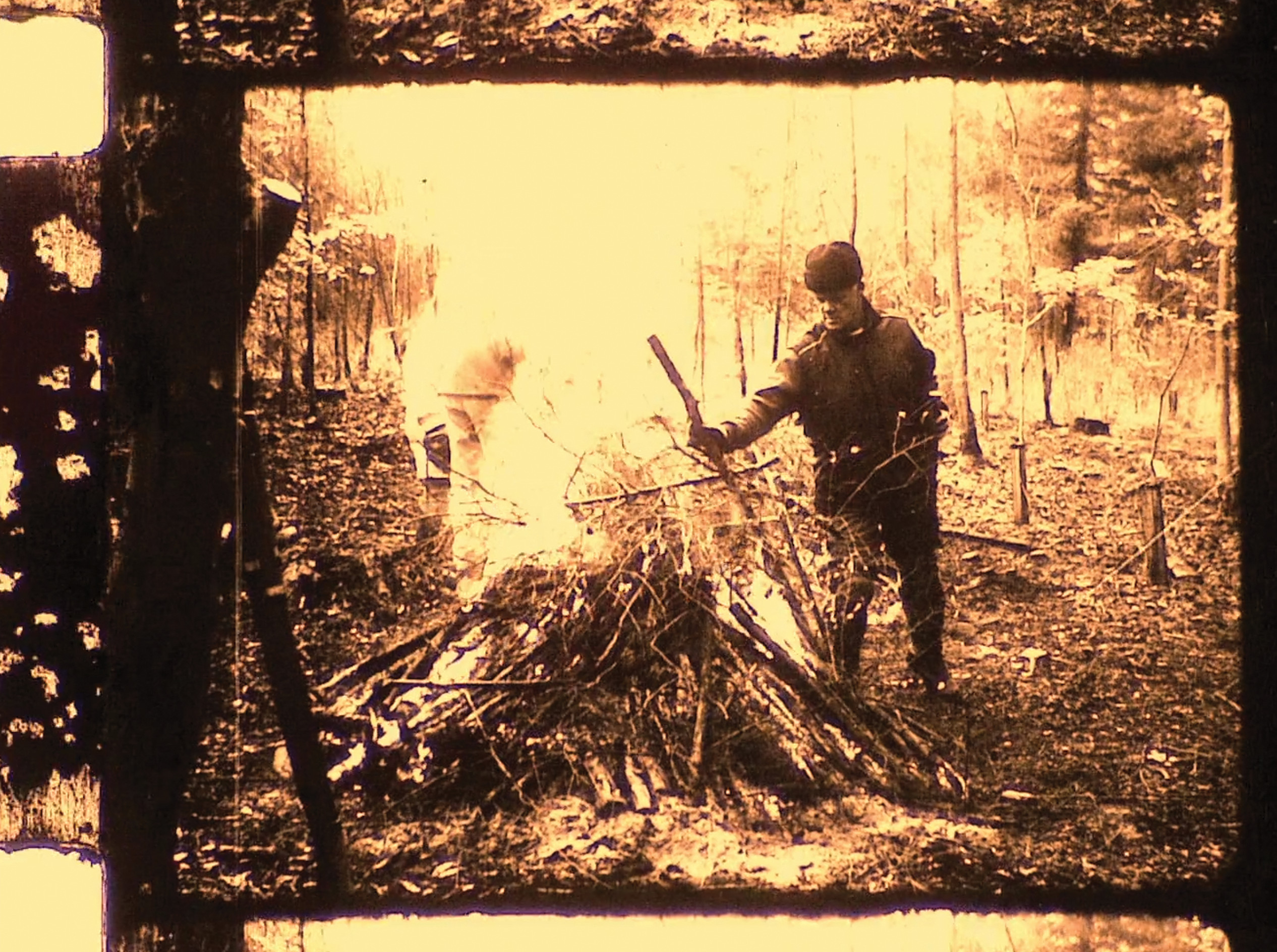 Hart Of The Wood 1