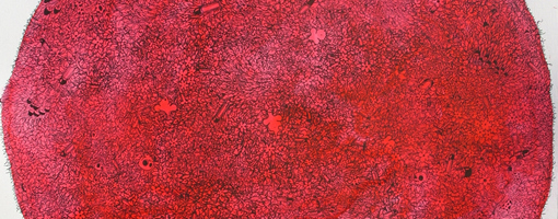 1dc1c52d-aac4-42f0-8123-c2a438761dfc.jpg