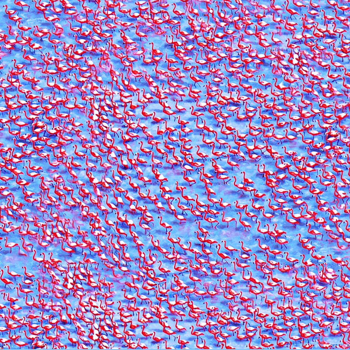 8b9883e2-b341-4883-b725-2a65604060c0.jpg