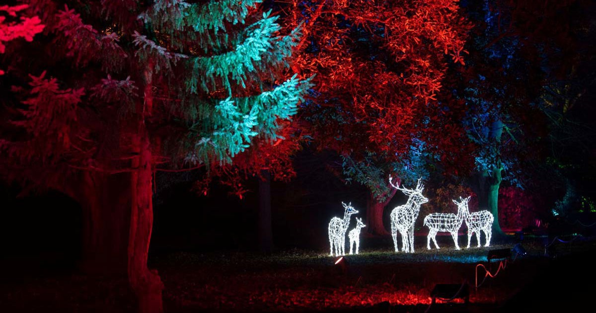 Review Christmas at Wollaton 2020 Leftlion Nottingham Culture