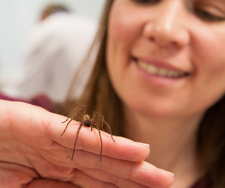 spiders lecture 1600 900-114354.jpg