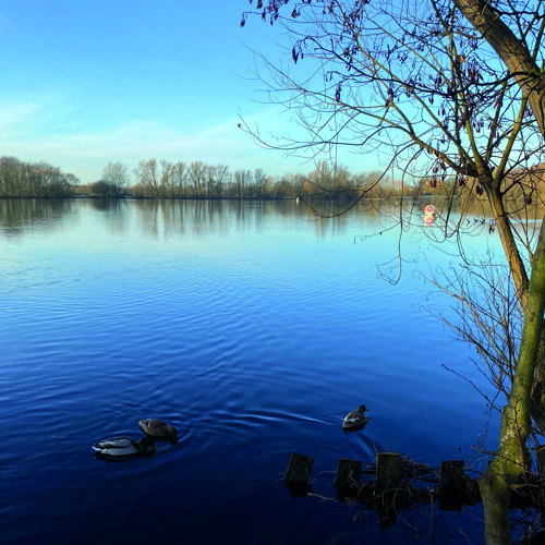 Blue therapy: we learn about wild swimming with Whole Health at Colwick ...