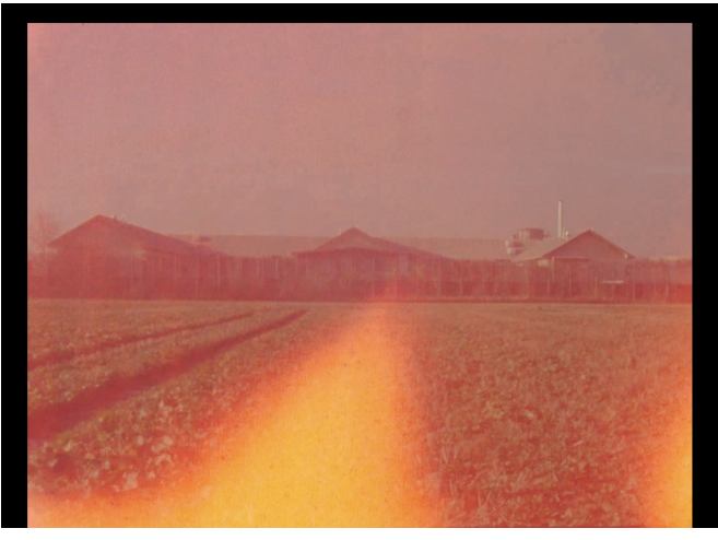 Artists film limits_of_looping_by_kneed.1184x866-126968.png