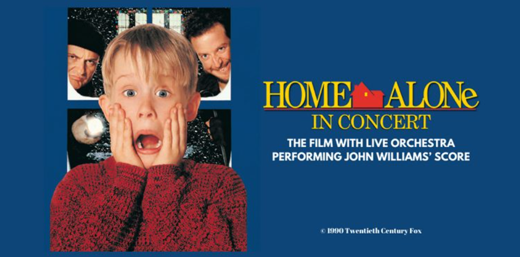 Home-Alone-Listing-Image-122743.jpg