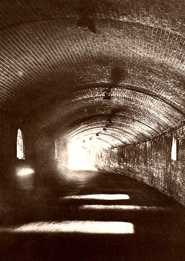 tunnel vision-114340.jpg (1)