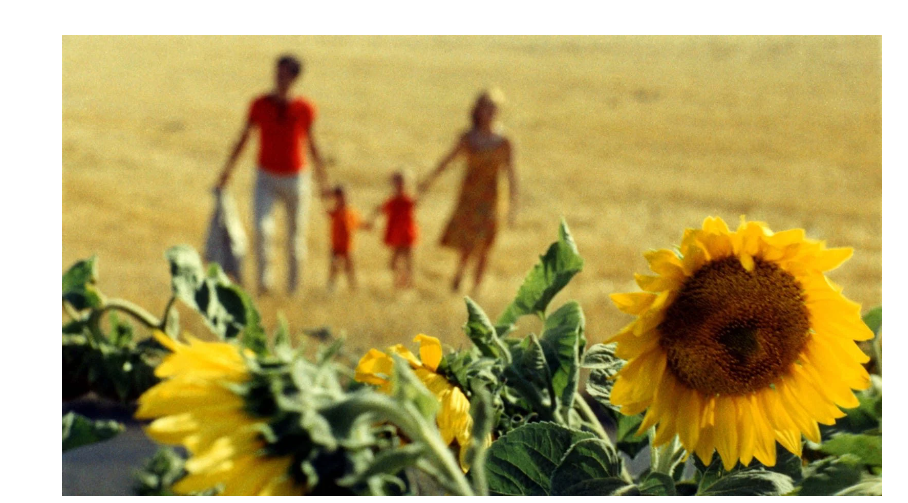 dvd_bonheur-114382.webp
