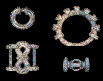 Life at an Iron Age Hillfort (1)-114354.jpg