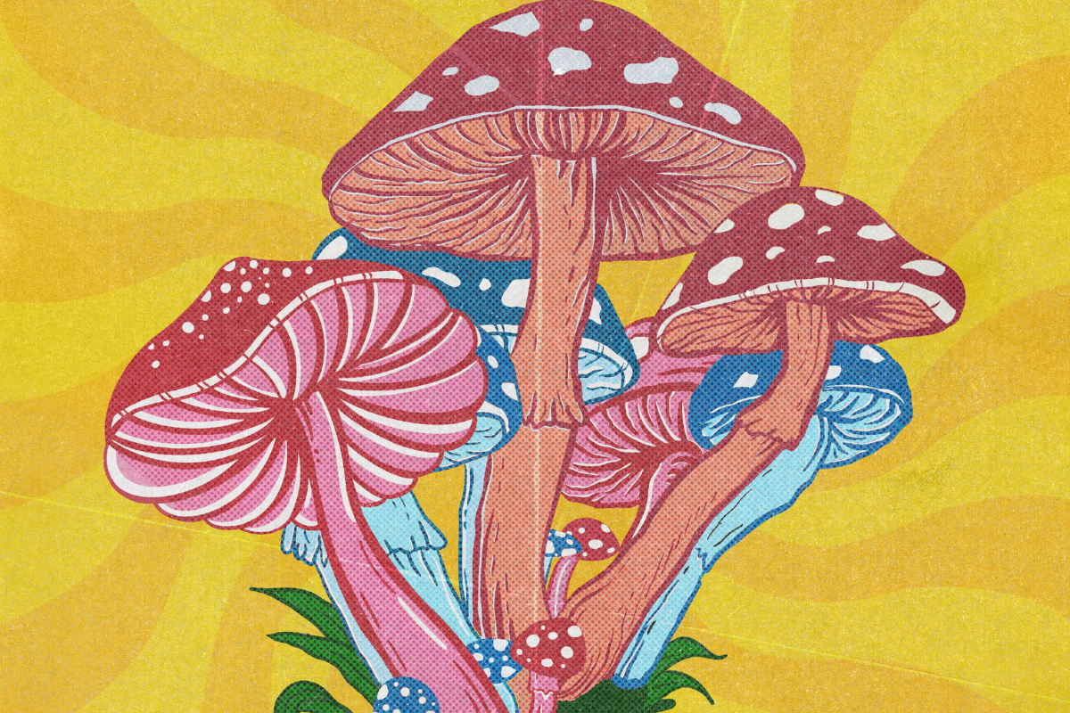 21e08315-1ee7-4843-a105-d12e498af171.png