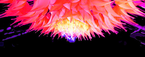 ee8b21d4-109b-49db-8034-e9105087d4a8.jpg
