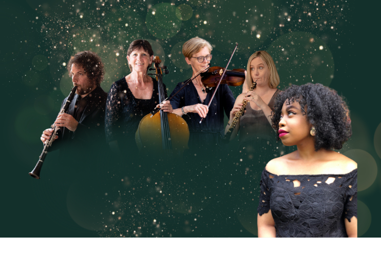 Sinfonia Viva NYE Nottingham-130384.jpg