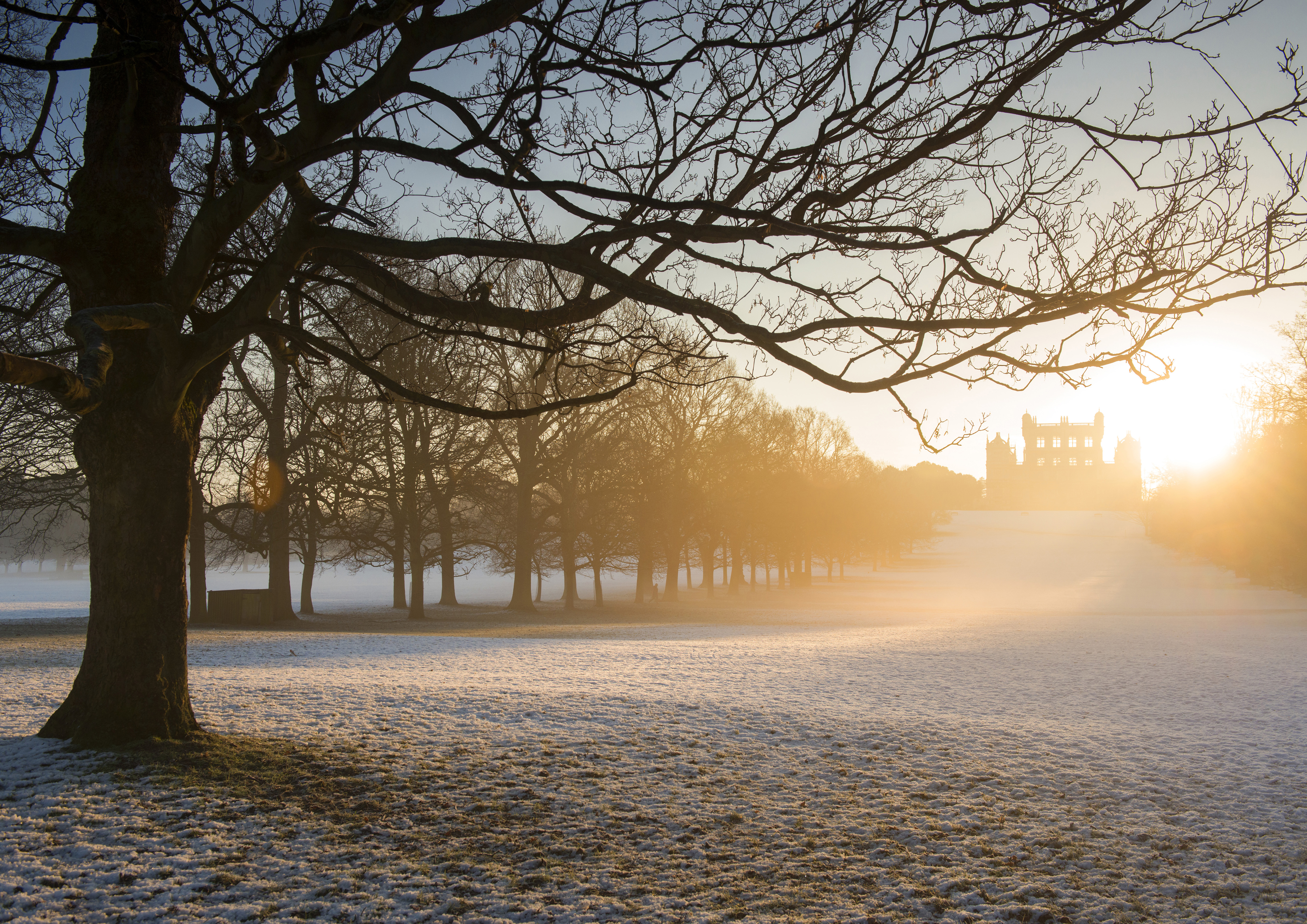 A Wollaton Winter (1)