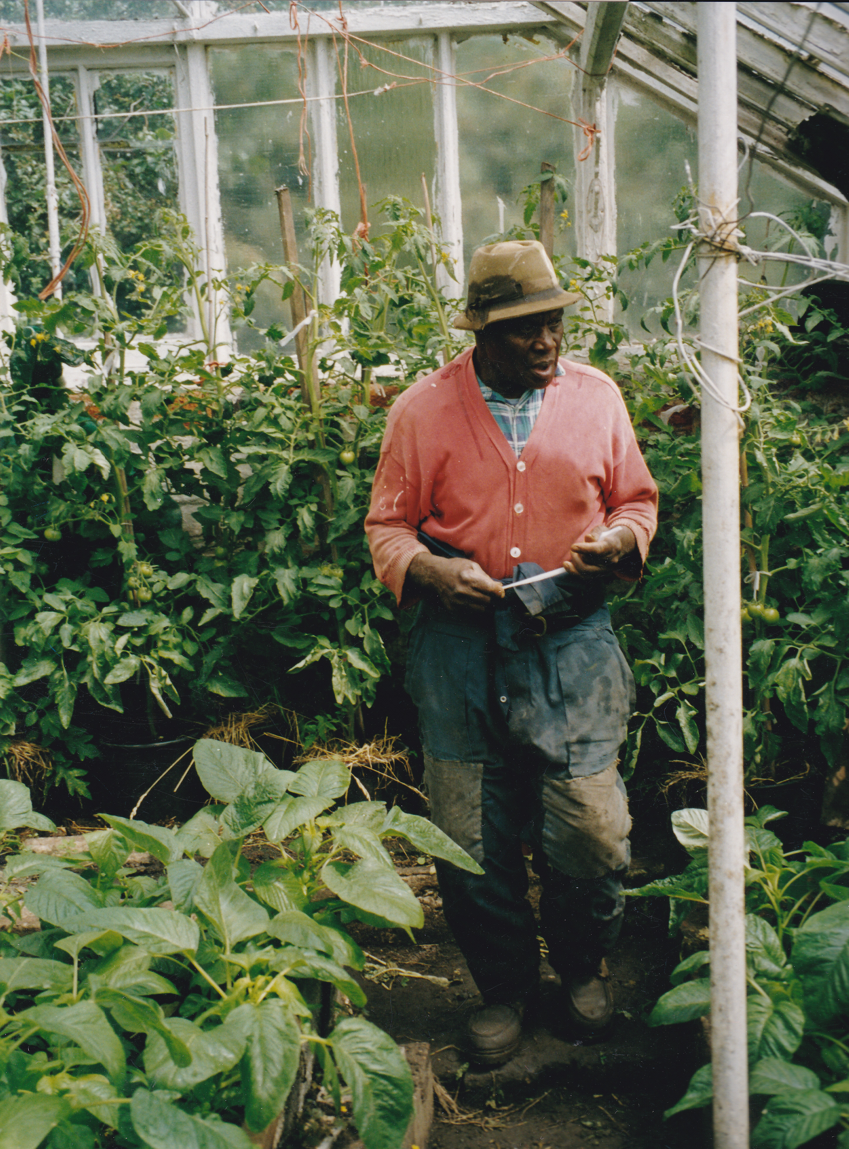 Gardens Phil 0015
