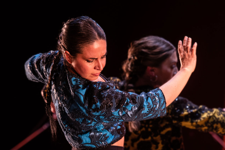 17.5-Flamenco-Resonance-114492.jpg