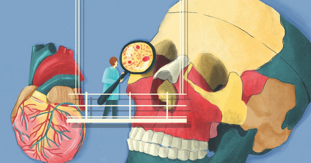 An Anatomist in Notts - Nottingham Culture