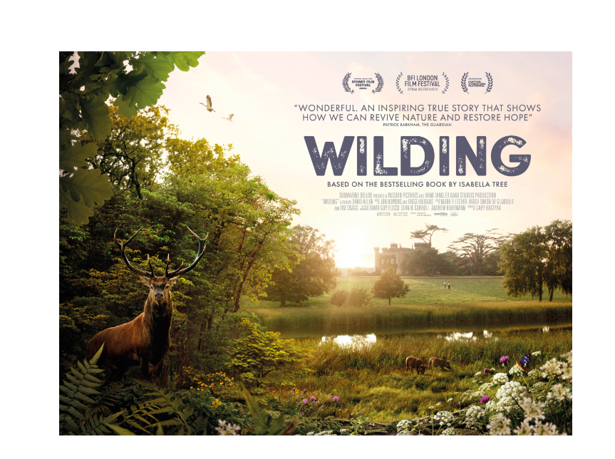 WILDING_QUAD_V2_LR-scaled-114382.jpg