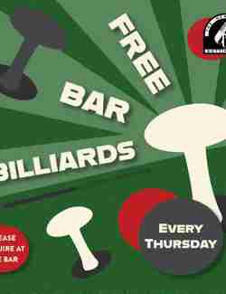 Free bar billiards SQ-114306.jpg