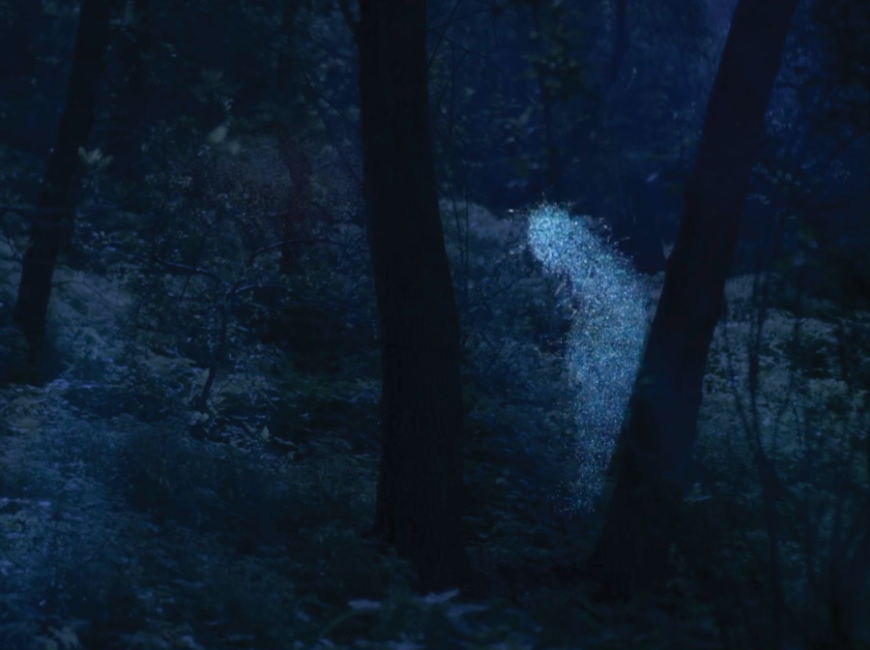 Interstice-114382.jpg