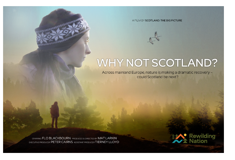 WNS-web-banner-114382.jpg