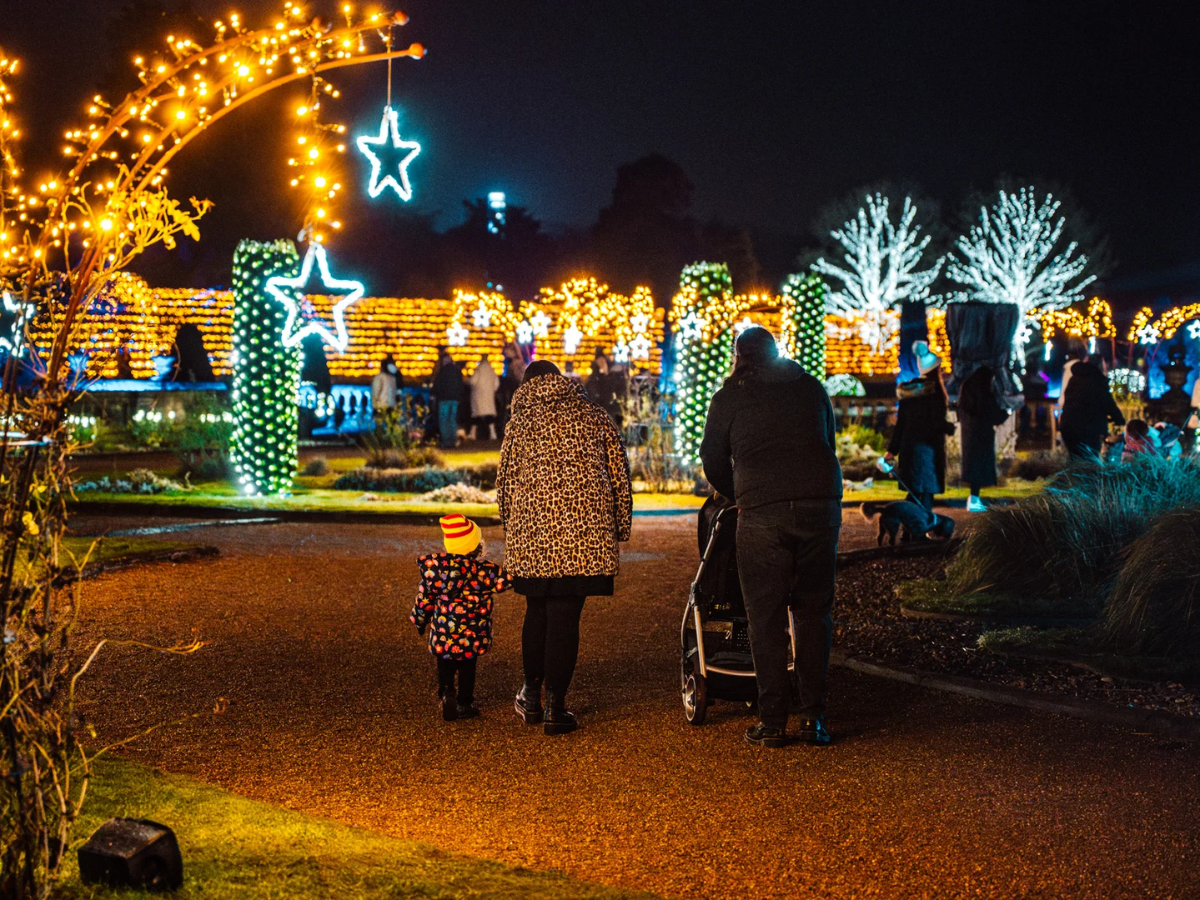 Wollaton Winter Light Trail (1)