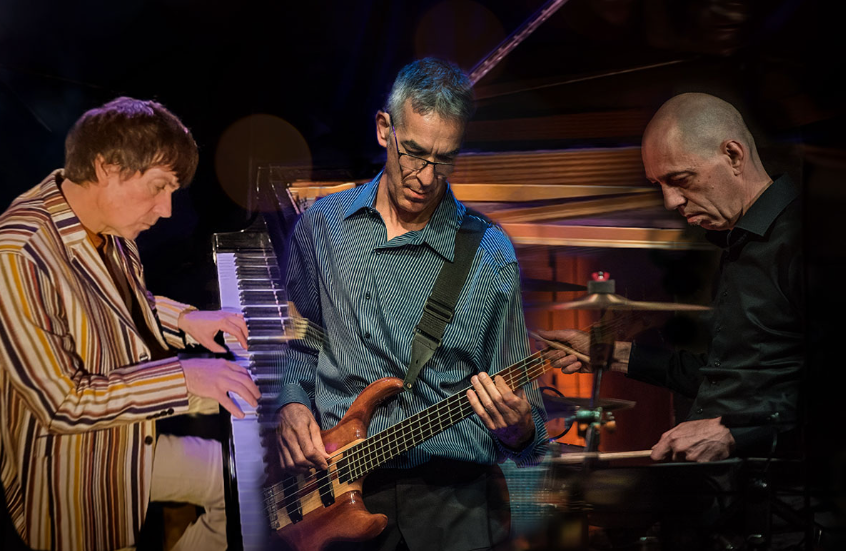 17.8-Neil-Angilley-Trio-114492.jpg