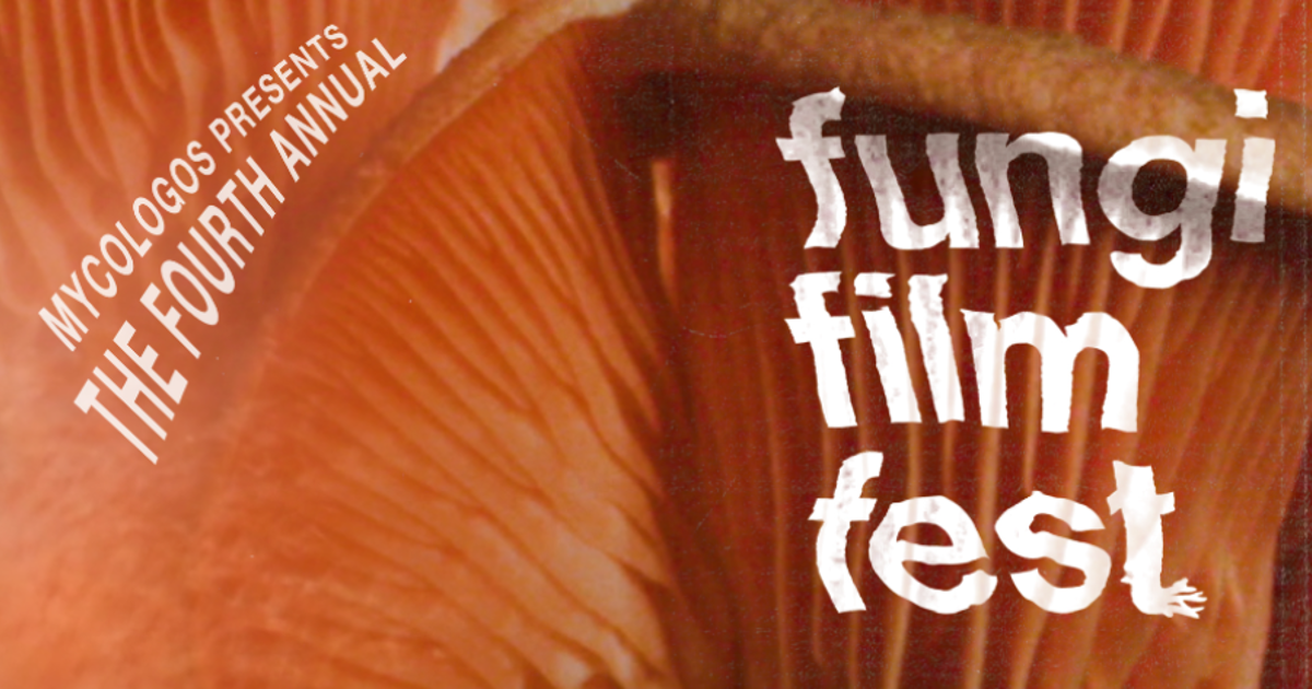Fungi Film Fest 2023 Leftlion Nottingham Culture